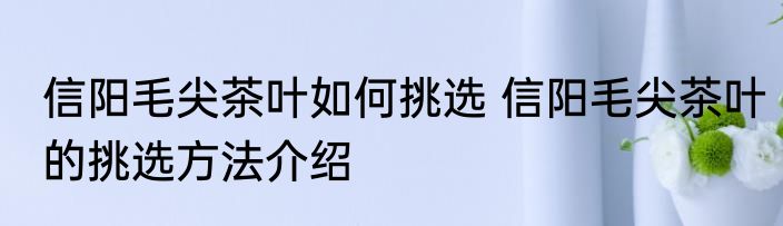 信阳毛尖茶叶如何挑选 信阳毛尖茶叶的挑选方法介绍