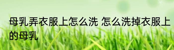 母乳弄衣服上怎么洗 怎么洗掉衣服上的母乳