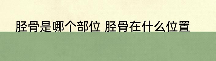 胫骨是哪个部位 胫骨在什么位置