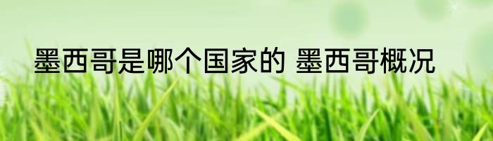 墨西哥是哪个国家的 墨西哥概况