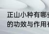 正山小种有哪些功效与作用 正山小种的功效与作用有哪些