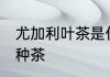 尤加利叶茶是什么茶 尤加利叶茶是哪种茶