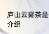 庐山云雾茶是什么茶 庐山云雾茶相关介绍