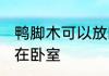 鸭脚木可以放卧室吗 鸭掌木能不能放在卧室