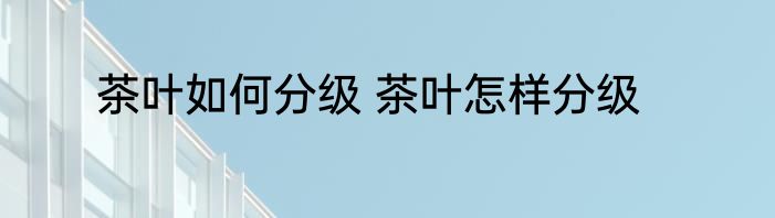 茶叶如何分级 茶叶怎样分级
