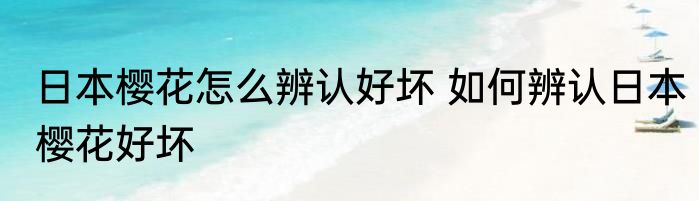 日本樱花怎么辨认好坏 如何辨认日本樱花好坏