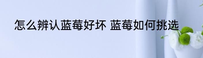 怎么辨认蓝莓好坏 蓝莓如何挑选