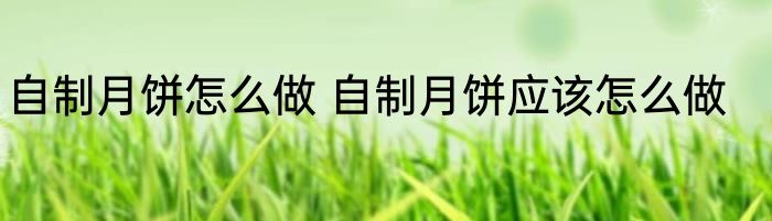自制月饼怎么做 自制月饼应该怎么做