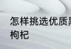怎样挑选优质黑枸杞 如何挑选优质黑枸杞