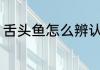 舌头鱼怎么辨认好坏 舌头鱼怎么挑选