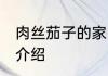 肉丝茄子的家常做法 肉丝茄子的做法介绍