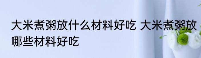 大米煮粥放什么材料好吃 大米煮粥放哪些材料好吃