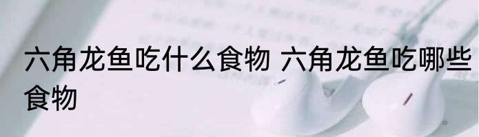 六角龙鱼吃什么食物 六角龙鱼吃哪些食物