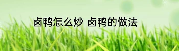 卤鸭怎么炒 卤鸭的做法