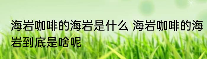 海岩咖啡的海岩是什么 海岩咖啡的海岩到底是啥呢