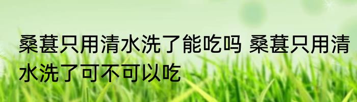 桑葚只用清水洗了能吃吗 桑葚只用清水洗了可不可以吃
