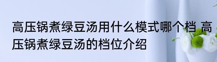 高压锅煮绿豆汤用什么模式哪个档 高压锅煮绿豆汤的档位介绍