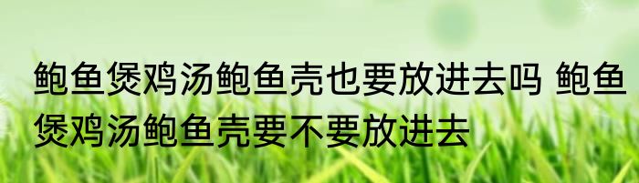 鲍鱼煲鸡汤鲍鱼壳也要放进去吗 鲍鱼煲鸡汤鲍鱼壳要不要放进去