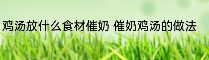 鸡汤放什么食材催奶 催奶鸡汤的做法