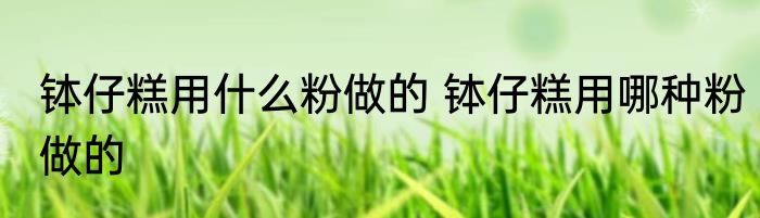 钵仔糕用什么粉做的 钵仔糕用哪种粉做的