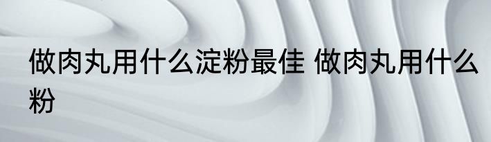 做肉丸用什么淀粉最佳 做肉丸用什么粉