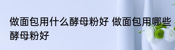 做面包用什么酵母粉好 做面包用哪些酵母粉好