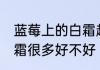 蓝莓上的白霜越多越好吗 蓝莓上的白霜很多好不好