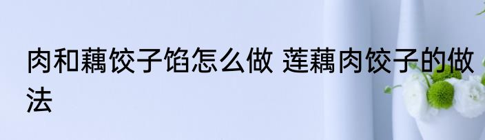 肉和藕饺子馅怎么做 莲藕肉饺子的做法