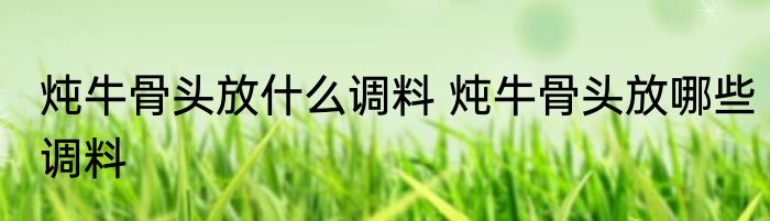 炖牛骨头放什么调料 炖牛骨头放哪些调料