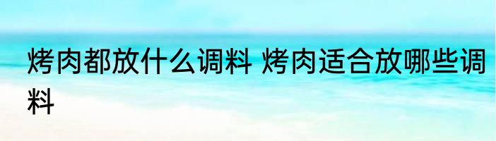 烤肉都放什么调料 烤肉适合放哪些调料