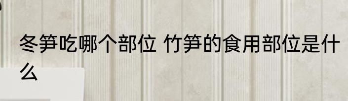 冬笋吃哪个部位 竹笋的食用部位是什么