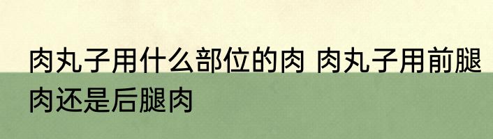 肉丸子用什么部位的肉 肉丸子用前腿肉还是后腿肉