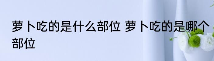 萝卜吃的是什么部位 萝卜吃的是哪个部位