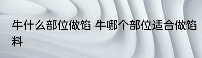 牛什么部位做馅 牛哪个部位适合做馅料