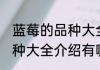 蓝莓的品种大全及品种介绍 蓝莓的品种大全介绍有哪些