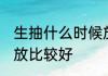 生抽什么时候放比较好 生抽哪个时间放比较好