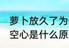 萝卜放久了为什么会空心 萝卜放久了空心是什么原因