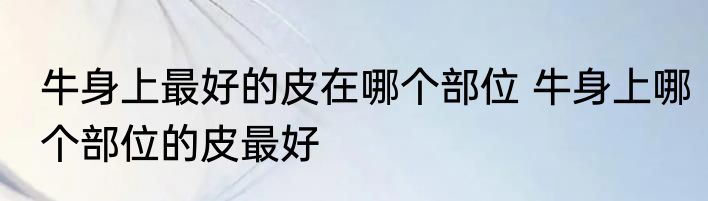 牛身上最好的皮在哪个部位 牛身上哪个部位的皮最好