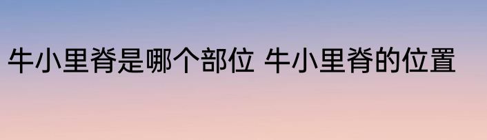 牛小里脊是哪个部位 牛小里脊的位置