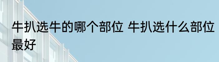 牛扒选牛的哪个部位 牛扒选什么部位最好