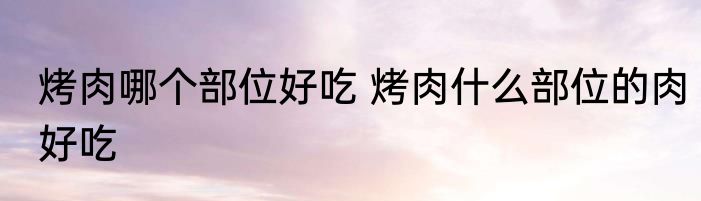 烤肉哪个部位好吃 烤肉什么部位的肉好吃