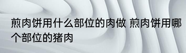 煎肉饼用什么部位的肉做 煎肉饼用哪个部位的猪肉