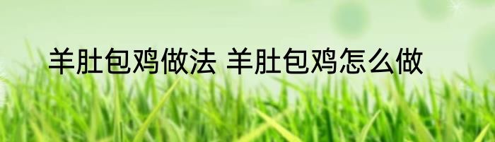 羊肚包鸡做法 羊肚包鸡怎么做