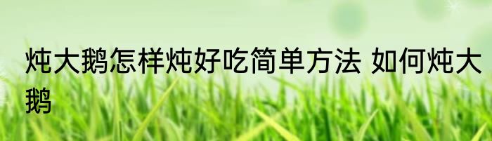 炖大鹅怎样炖好吃简单方法 如何炖大鹅
