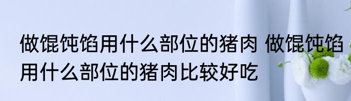 做馄饨馅用什么部位的猪肉 做馄饨馅用什么部位的猪肉比较好吃
