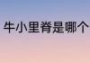 牛小里脊是哪个部位 牛小里脊的位置