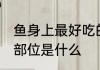 鱼身上最好吃的部位 鱼身上最好吃的部位是什么