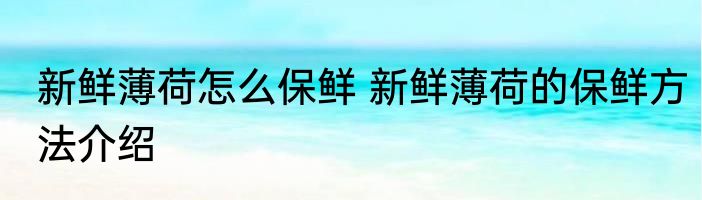 新鲜薄荷怎么保鲜 新鲜薄荷的保鲜方法介绍