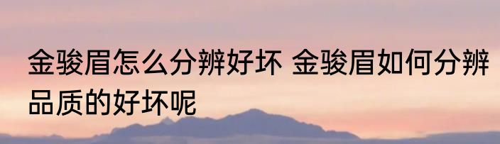 金骏眉怎么分辨好坏 金骏眉如何分辨品质的好坏呢