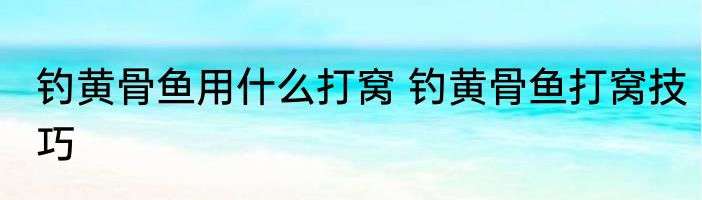 钓黄骨鱼用什么打窝 钓黄骨鱼打窝技巧